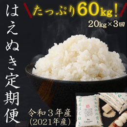楽天ふるさと納税はえぬき(定期便)