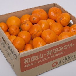 ふるさと納税訳ありみかん