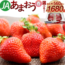 福岡市産春あまおう