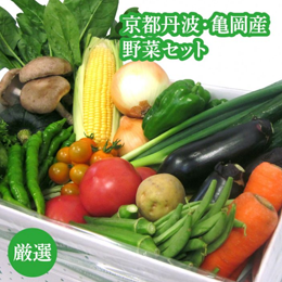 京都丹波・亀岡産野菜セット