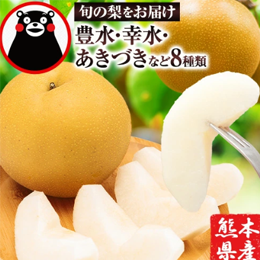 ふるさと納税　梨