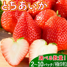 楽天ふるさと納税　いちご