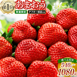 楽天ふるさと納税　いちご