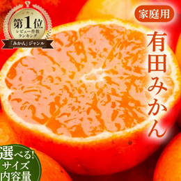 ふるさと納税 有田みかん