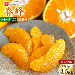 ふるさと納税 春峰