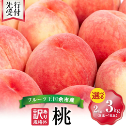 ふるさと納税 桃